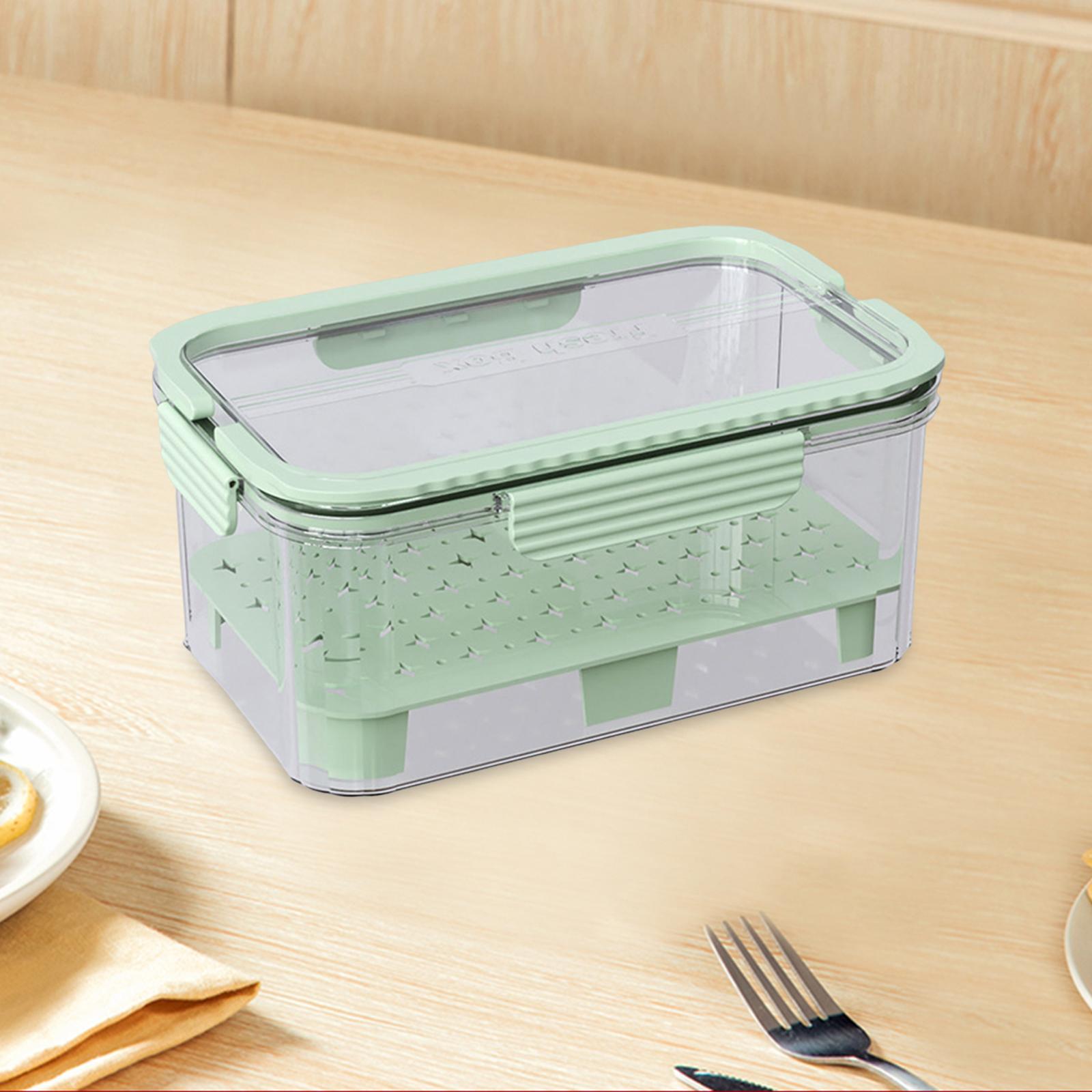 Food Snacks For Camping - Ijsgekoelde Camping Voedselcontainer Fruitopslagcontainer 9.06x5.91x4.25inch Draagbare