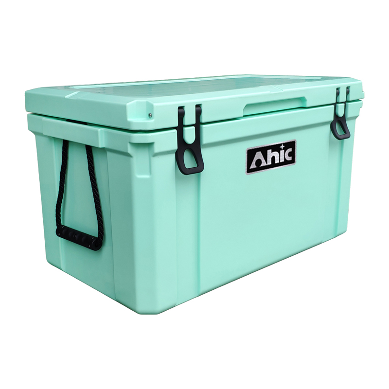 75L Geïsoleerde PE Ijskoelbox  - Food & Snacks Coloring recensie en prijs
