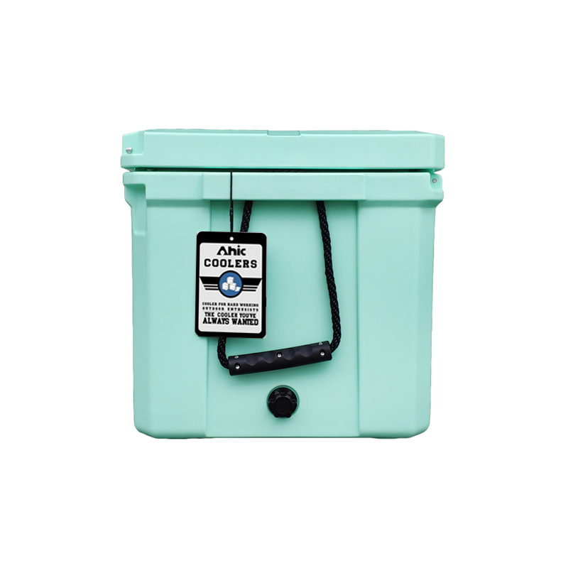 75L Geïsoleerde PE Ijskoelbox  - Food & Snacks Coloring recensie en prijs
